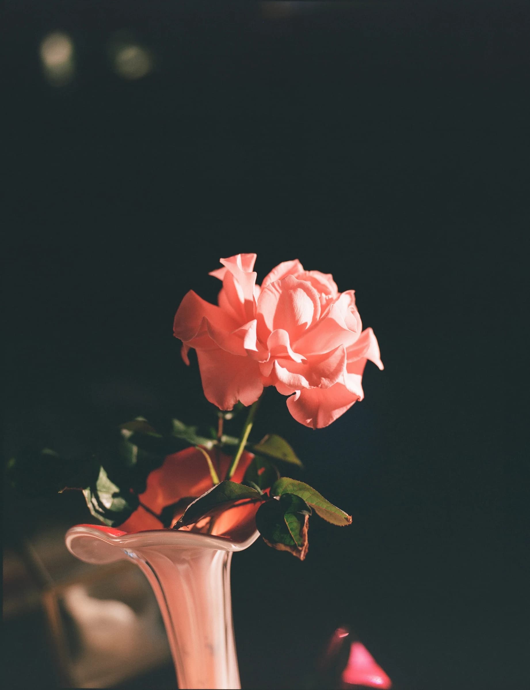 Flowershop